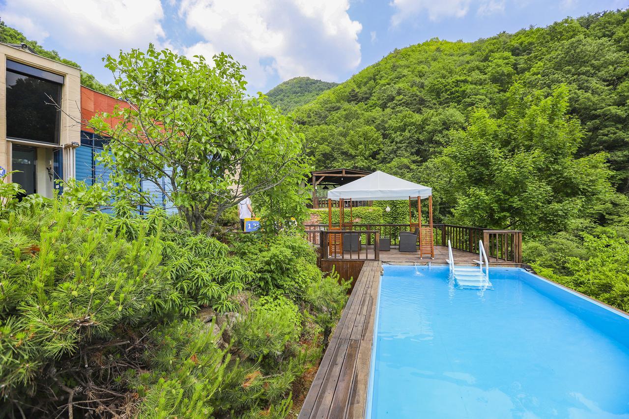 Penatess Pool Villa Chungju Exterior photo